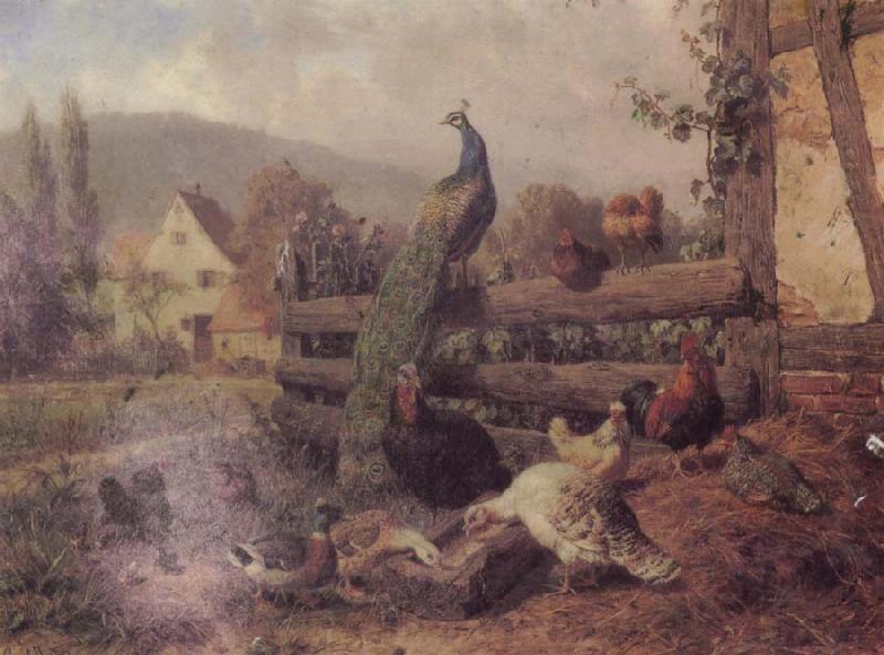 Carl Jutz One Peacock and some cock France oil painting art